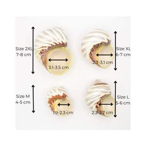 MOON NATUREL SEASHELL PREMIUM GRADE AVEC BEAU MOTIF MOON ESCARGOT CONCH SEASHELL ACCESSOIRES DÉCOR PRIX COMPÉTITIF - Product Image 3