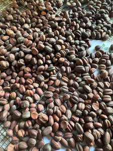 Premium Quality Dry Egyptian Jojoba 100% Pure Natural ISO 22000 Certified <b>Spices</b> and <b>Herbs</b> Raw Process AD Dried - Product Image 6