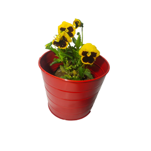 Pot de fleurs en métal artisanal de luxe, élégant et décoratif pour la maison et le jardin - Product Image 5