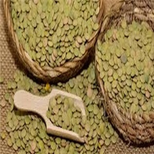 ถั่วเขียวแห้งจากแคนาดา - Product Image 5