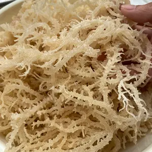 越南干海藻Eucheuma cotonii/Ulva Lactuca海苔粉来样定做袋定制包装