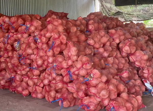 Delicioso Coco seco para agregar sabor Producto agrícola premium a bajo MOQ de proveedor vietnamita - Product Image 5