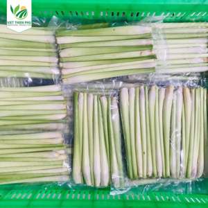 VIET THIEN PHU VTP/IQF Vegetales de hierba de limón congelados orgánicos Cantidades a granel para exportación Origen Vietnam - Product Image 2