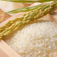 Rice for Export Processing Dishes Korean Mixed Rice Vietnamese White Rice 2% Broken Export Bulk Cheap High Quality