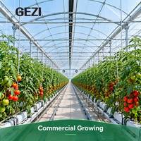 Serre en film multi-travées à conception connectée par gouttières pour l'agriculture commerciale, la culture de légumes et les pépinières à grande échelle