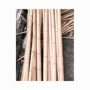 Treated Bamboo For Outdoor <b>Garden</b> From Vietnam / Bamboo Pole Bamboo <b>Canes</b> For Fences Partitions Decor - Product Image 3