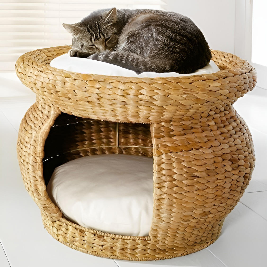 ธรรมชาติ