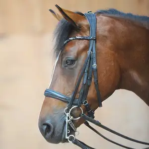 Lorenz Bridle RUBBER REINS STAINLESS STEEL Luxury is made of first-class German leather and is very supple. It has a wide cut