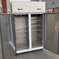 Congélateur vertical à double porte commercial, à double température, à refroidissement par air, en acier inoxydable, pour supermarché, cuisine