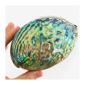 Wholesale Artistic Abalone Shell Pearls for DIY Jewelry, Utensil Styling, and Small Vase <b>Accessories</b> - Product Image 4
