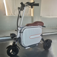 Tricycle électrique à deux places haute vitesse 250W, scooter électrique pliable à 3 roues pour adultes