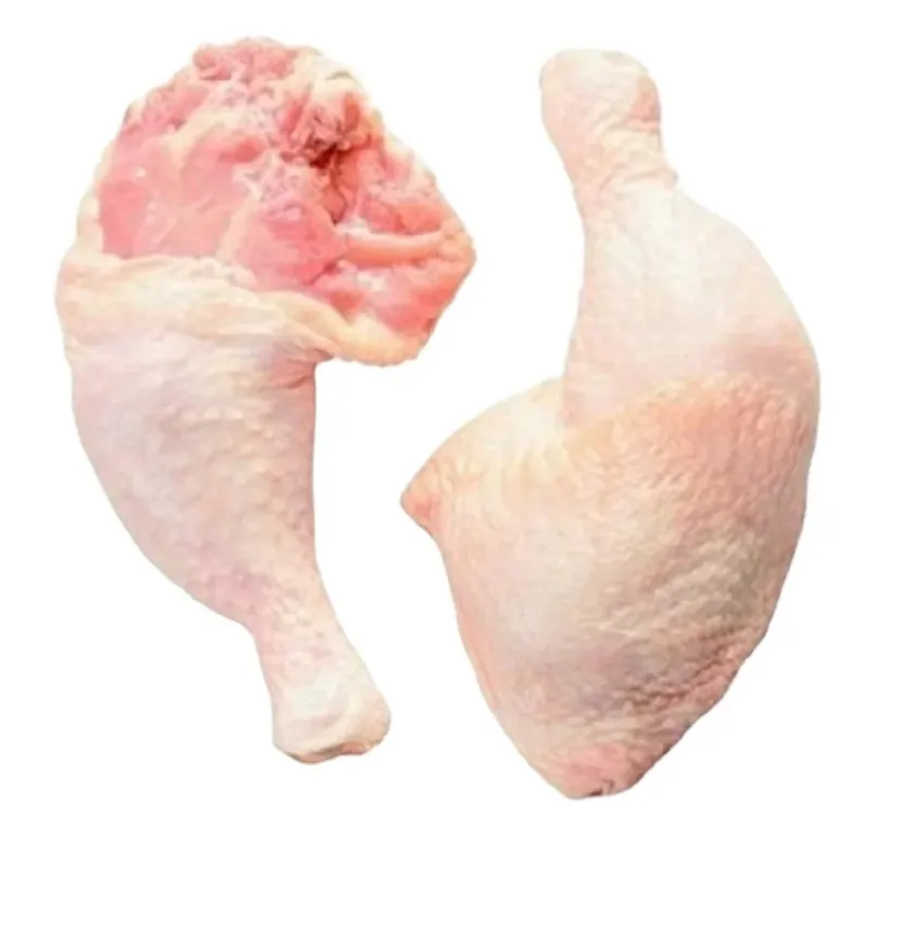 Số một nhà xuất khẩu đông lạnh, sạch sẽ và bảo quản tốt toàn bộ thịt gà, phần gà (vú, cánh, chân, bàn chân, bàn chân, mề)
