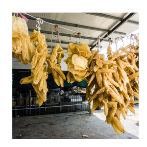 TRUCAS DE PESCADO SECAS DE FUENTE SOSTENIBLE PARA RECETAS DE COCINA DELICIOSAS Y RICAS EN COLÁGENO - Product Image 2