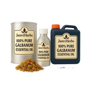 100% Pure Galbanum Aceite esencial Aceite de resina natural para aromaterapia Perfumería y cuidado de la piel Proveedor al por mayor - Product Image 1
