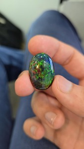 ธรรมชาติเอธิโอเปียนสีดำโอปอล cabochon. ชิ้นส่วนที่มีคุณภาพสูงสุด12.68 cts. โอปอลทรงหลังเบี้ยคุณภาพระดับโลก - Product Image 2