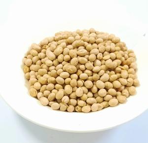 Germination et graines de soja jaune sec de qualité alimentaire soja jaune séché à haute teneur en protéines pour l'alimentation humaine - Product Image 4