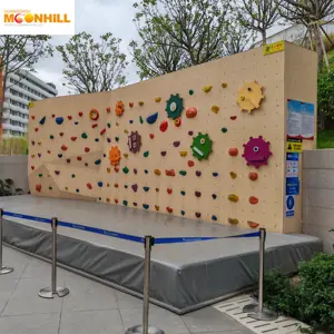 Dinding panjatan vertikal tempat bermain anak-anak luar ruangan dengan perosotan lompat
