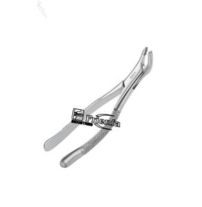 คีมถอนฟันแบบอเมริกัน # 151AS ชุดฟันกรามชั้นที่สาม คุณภาพสูง ผลิตจากเหล็กกล้าไร้สนิมเยอรมัน ได้รับการรับรองมาตรฐาน CE ใช้ซ้ำได้ ระดับ Class II - Product Image 5