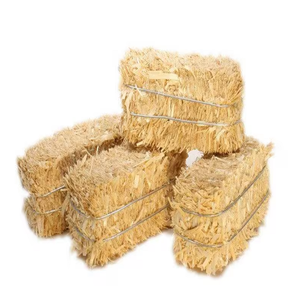 Foin de luzerne de qualité pure/balles/granulés 100% alimentation animale naturelle à haute teneur en protéines pour chevaux et bovins en vrac pour l'exportation - Product Image 2