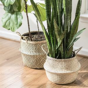 Vietnam Seagrass Basket Straw Storage with handles Decorative Storage Nursery Laundry <b>Hamper</b> Boho <b>Wedding</b> Basket Belly Baskets - Product Image 2