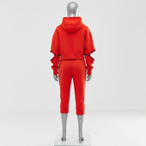 Invierno venta al por mayor mujer 2 piezas conjunto Streetwear mujeres chándales algodón polar personalizado con capucha algodón chándal - Product Image 4