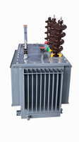Transformateur de puissance immergé dans l'huile à faible perte 30kV/400V 100kVA 50Hz Dyn11