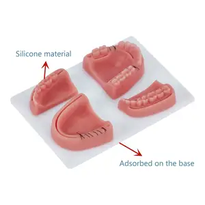 מדעי רפואה כירורגית דוגמאות אימון אוראלי שיניים תפר תרגול כרית סימולטור שיניים ישיר במפעל