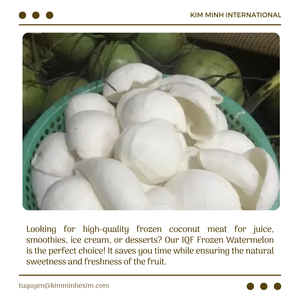 Carne de Coco Congelada LQF, Envasada al Vacío a Granel, 100% Natural, Calidad Premium para Exportación - Product Image 5