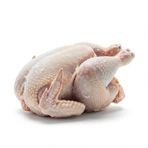 Poulet entier frais, nettoyé et emballé hygiéniquement, livré réfrigéré ou congelé, idéal pour les acheteurs de détail en vrac et les transformateurs d'aliments - Product Image 6