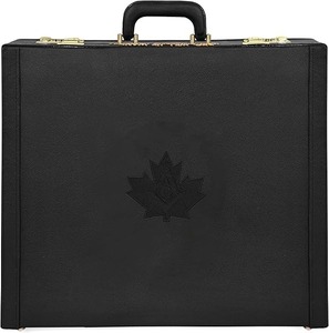 Estuche para Mandil de Reglamento de la Logia Azul de California para Maestro Masón - Bordado a Mano con Emblema Negro Personalizado - Product Image 2