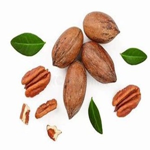 ถั่วพีแคนที่มีความสำคัญทางเศรษฐกิจและการทำอาหารมีจำหน่ายในราคาที่เหมาะสมใช้ในอาหารที่เป็นสัญลักษณ์ - Product Image 2