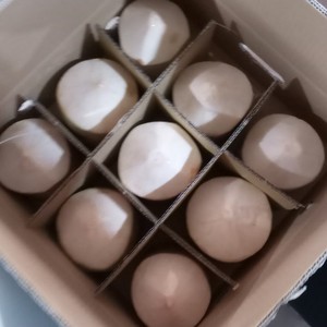 Coco en forma de diamante, agua de coco dulce de origen joven de Vietnam con coco fresco de buena calidad, precio barato - Product Image 2