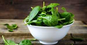 ÉPINARDS FRAIS CONGELÉS/SOURCE DE FER PLANTE/SANS ADDITIF/FEUILLE NATURE - Product Image 6