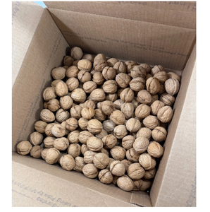 Nueces sin Cáscara de Primera Calidad - Product Image 1