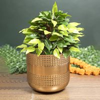 Grosir kustom Pot bunga besar Pot bunga berdiri desain luar biasa buatan tangan logam bunga emas selesai pabrik langsung