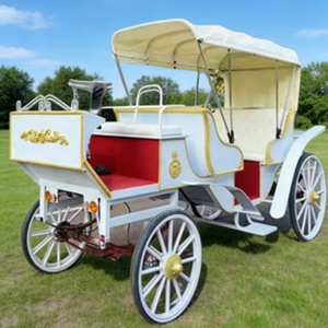 Carrozza Leggera e Facile da Tirare per Tour Panoramici Brevi, <span class=keywords><strong>Passeggiate</strong></span> in Città Antica, Gite sul Lago e Parate Culturali Rurali - Product Image 5