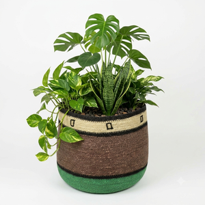 Maceta Vintage Tejida a Mano con Patrón de Rayas para Decoración de Jardín, Patio y Hogar, Macetas y Jardineras - Product Image 2