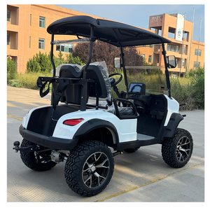 Auténtico Buggy Todoterreno de Lujo de 2 Plazas, 48V 5KW, Carro de Golf Eléctrico con Certificación DOT, Acero, 50-70Km/h, 50-70km de Autonomía - Product Image 2