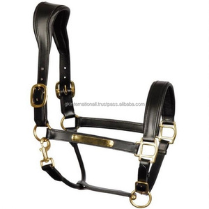 Licol de cheval rembourré en cuir doux Extra lisse et confortable, couvre-chef anatomique sur mesure avec anneaux de boucle en laiton plaqué solide - Product Image 6