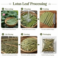 Feuilles de lotus séchées à l'air de qualité supérieure pour tisanes et cuisson vapeur, ingrédient culinaire naturel