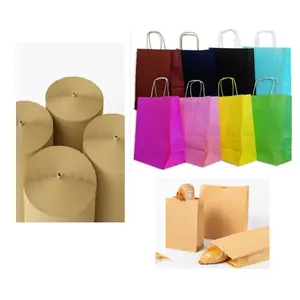 WASTE PAPER RECYCLING KRAFT PAPER & PAPER BAGS PRODUCTION PLANT