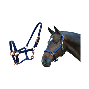 Fournisseur en vrac licou de cheval robuste de haute qualité équitation licou en PP disponible au meilleur prix - Product Image 4