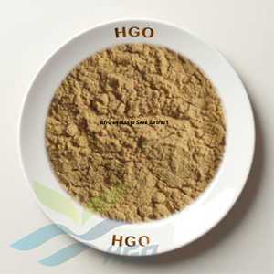 Suministro Directo de Fábrica HGO de Extracto Puro y Natural de Semilla de Mango Africano, Especificación de Grado Alimenticio, Relación de Extracción 5:1 10:1 20:1 - Product Image 1