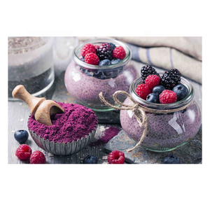 Poudre de Myrtille Séchée par Pulvérisation Naturelle en Gros, Concentré à 100% de Jus de Myrtille, Qualité Supérieure, Fabriquée en Inde, Excellente - Product Image 1