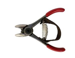 กรรไกรตัดผลไม้ตระกูลส้มขนาด 4-1/2 นิ้ว แบบ DIY พร้อมด้ามจับกันลื่น - Product Image 1