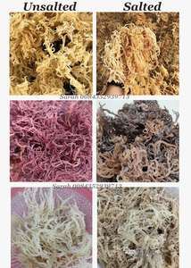 Organic Sundried Irish <b>Moss</b> Wildcrafted <b>Sea</b> <b>Moss</b> <b>Raw</b> Eucheuma Cottonii Gold/White/Purple Salted & Unsalted Wholesale. - Product Image 3