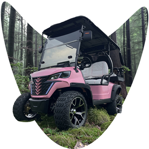 Meilleur 150A Lithium Commercial 2 + 2 Places Offroad Golf Buggy Street Legal Mini Golf Cart à vendre - Product Image 1