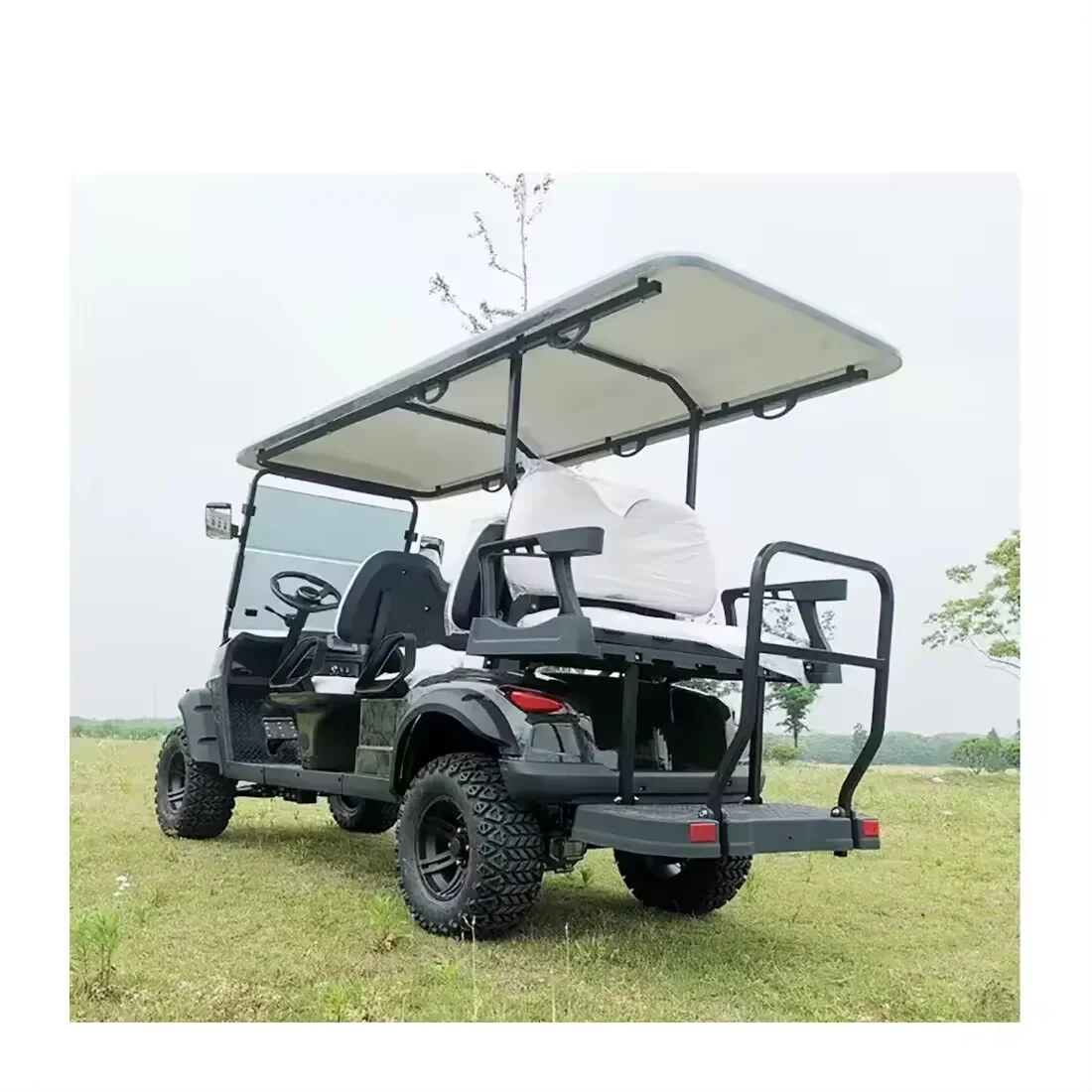 Fairway Rider G3 Single Seat Golf Cart G3 Golf Buggy Golf Buggies