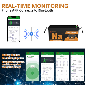 Batteria agli ioni di sodio da 48 Volt con rack, 48V 100Ah 10Kwh, pacco batterie con celle CATL per sistema solare - Disponibilità EU - Product Image 2