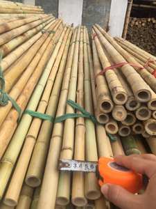 Proveedor de postes de bambú grandes procesados con varios tamaños-postes de bambú Vietnam Sra Sophie - Product Image 3